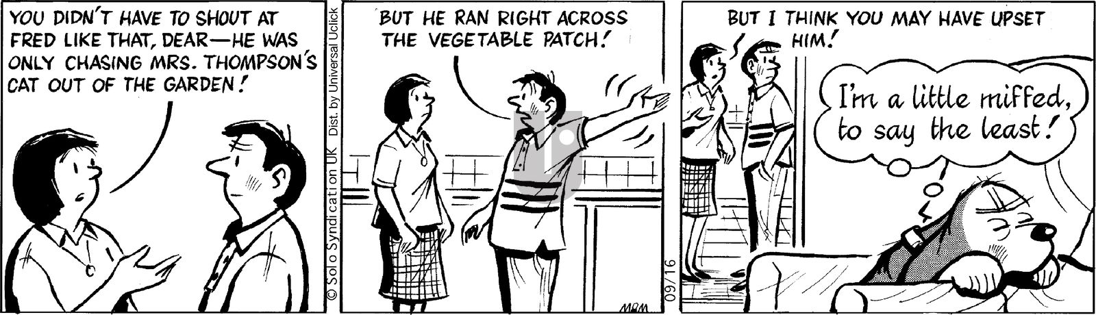 Fred Basset on Tuesday September 16, 2014 Comic Strip