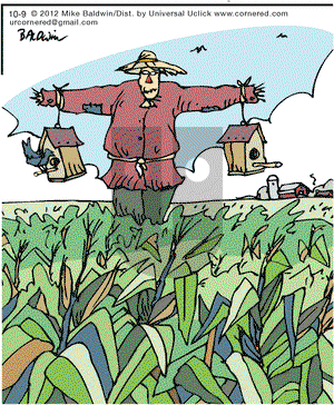 Cornered on Tuesday October 9, 2012 Comic Strip