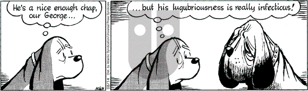 Fred Basset on Friday August 14, 2009 Comic Strip