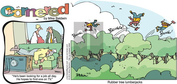 Cornered on Sunday September 23, 2012 Comic Strip