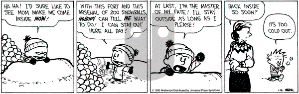 Calvin and Hobbes on Saturday January 16, 1993 Comic Strip