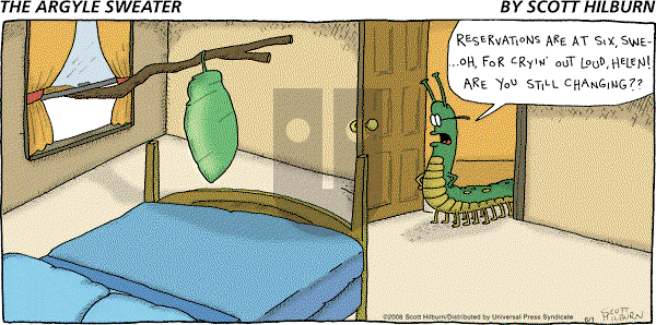 The Argyle Sweater on Sunday June 1, 2008 Comic Strip