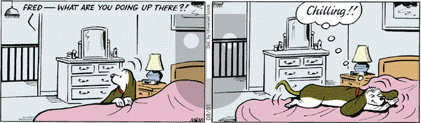Fred Basset on Thursday August 1, 2013 Comic Strip