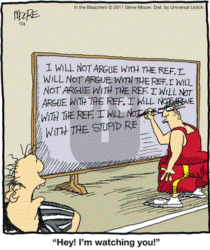 In the Bleachers on Friday January 28, 2011 Comic Strip