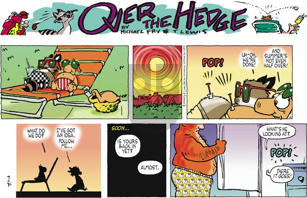 Over the Hedge on Sunday July 31, 2016 Comic Strip