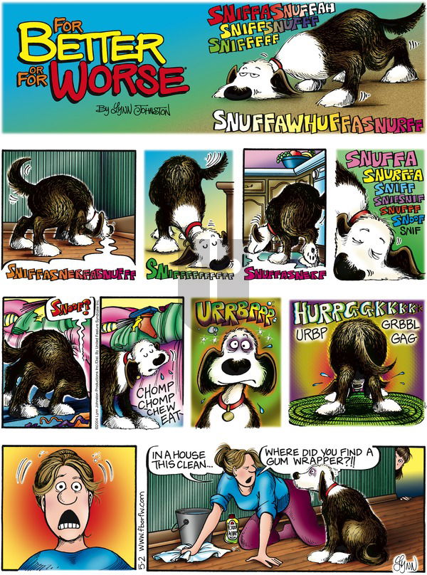 For Better or For Worse on Sunday June 13, 2004 Comic Strip