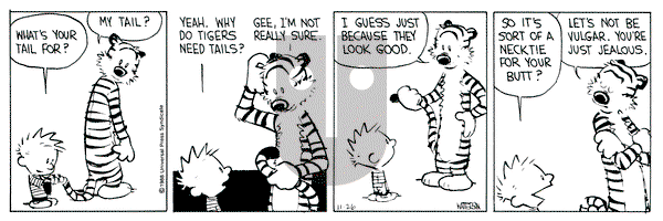 Calvin and Hobbes on Saturday November 26, 1988 Comic Strip