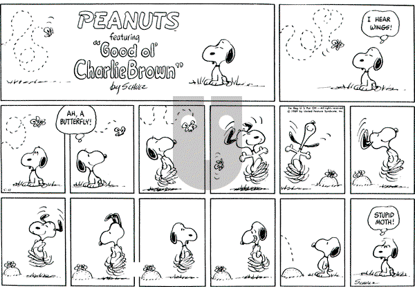 Peanuts - Sunday May 11, 1969 Comic Strip