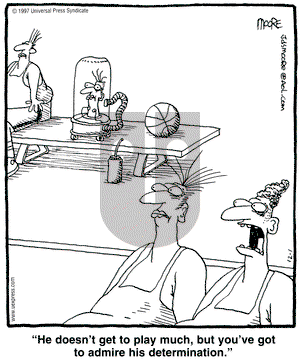 In the Bleachers on Monday December 1, 1997 Comic Strip