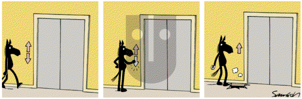 Dark Side of the Horse on Sunday January 4, 2015 Comic Strip