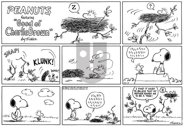Peanuts on Tuesday December 17, 1996 Comic Strip