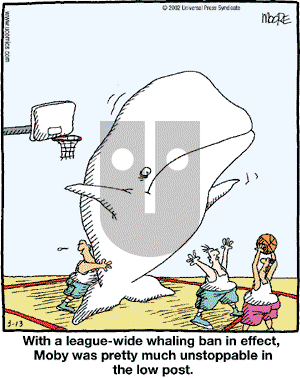 In the Bleachers - Wednesday March 13, 2002 Comic Strip