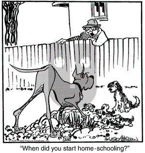 Marmaduke - Friday March 10, 2006 Comic Strip