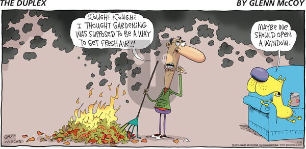 The Duplex on Sunday November 8, 2015 Comic Strip
