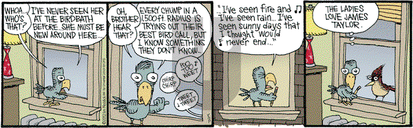 Monty on Tuesday May 15, 2012 Comic Strip