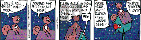 Rose is Rose on Thursday June 25, 2020 Comic Strip
