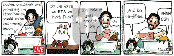 Breaking Cat News on Thursday January 18, 2018 Comic Strip
