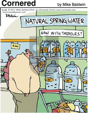 Cornered on Tuesday June 28, 2011 Comic Strip