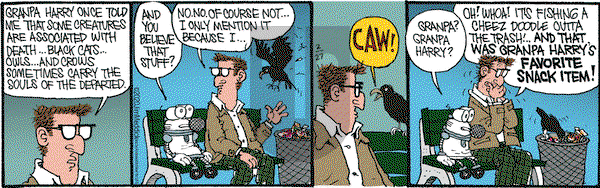 Monty on Thursday February 27, 2020 Comic Strip