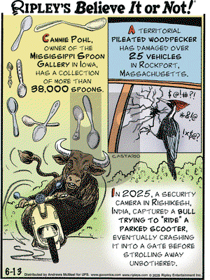 Ripley's Believe It or Not on Friday June 13, 2025 Comic Strip