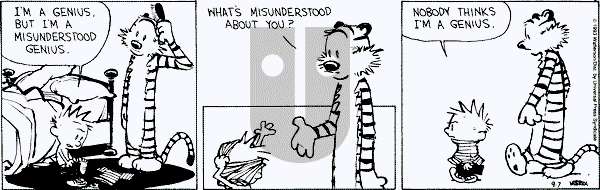 Calvin and Hobbes - Tuesday September 7, 1993 Comic Strip