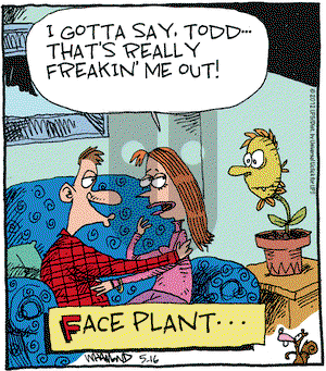Reality Check on Wednesday May 16, 2012 Comic Strip