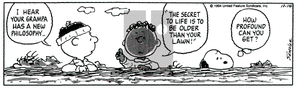 Peanuts on Monday November 14, 1994 Comic Strip