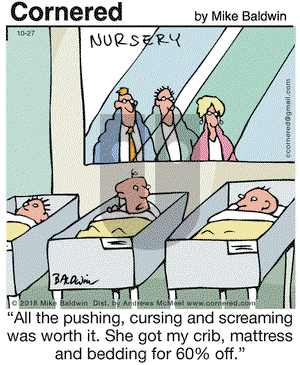 Cornered on Saturday October 27, 2018 Comic Strip