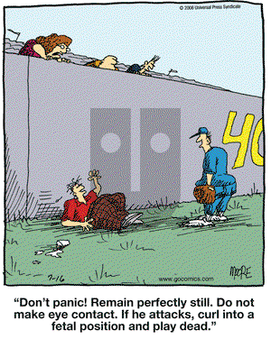 In the Bleachers on Wednesday July 16, 2008 Comic Strip