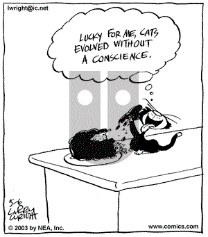 Kit 'N' Carlyle on Tuesday May 6, 2003 Comic Strip