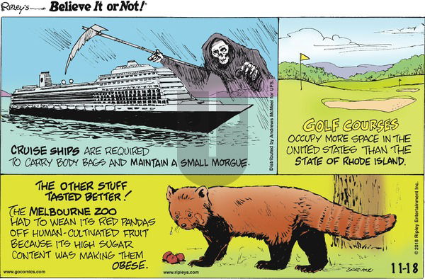 Ripley's Believe It or Not on Sunday November 18, 2018 Comic Strip