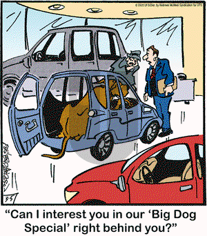 Marmaduke on Thursday March 5, 2020 Comic Strip