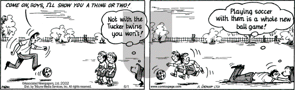 Fred Basset on Saturday June 1, 2002 Comic Strip