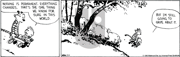 Calvin and Hobbes - Monday July 17, 1995 Comic Strip