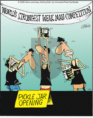 The Flying McCoys on Wednesday December 4, 2013 Comic Strip