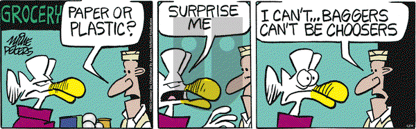 Mother Goose and Grimm on Friday November 14, 2025 Comic Strip