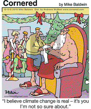 Cornered on Thursday December 13, 2018 Comic Strip