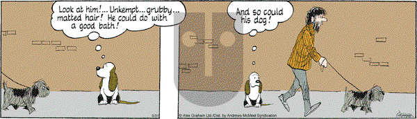 Fred Basset on Saturday May 31, 2025 Comic Strip