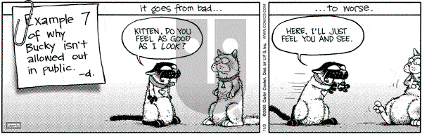 Get Fuzzy on Saturday November 3, 2001 Comic Strip