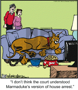 Marmaduke on Thursday November 8, 2012 Comic Strip