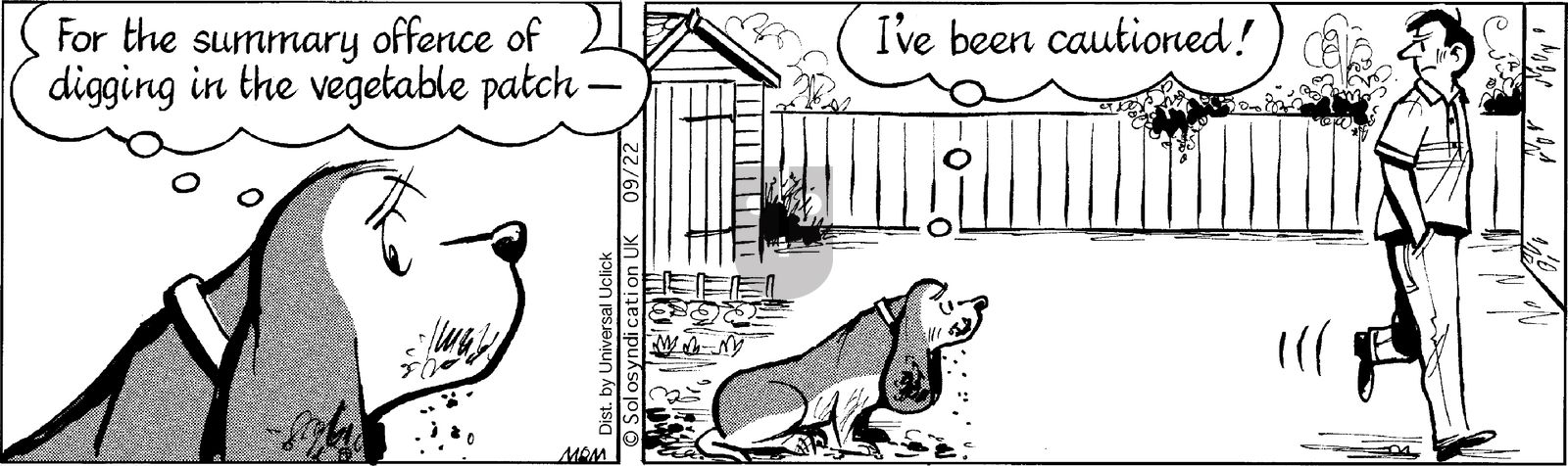 Fred Basset on Monday September 22, 2014 Comic Strip