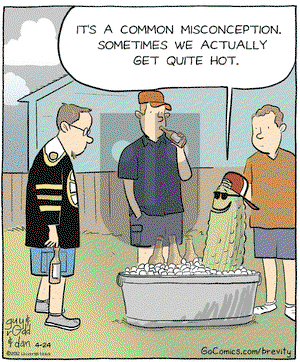 Brevity - Tuesday April 24, 2012 Comic Strip