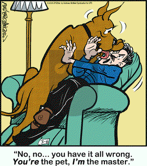 Marmaduke on Tuesday March 6, 2018 Comic Strip