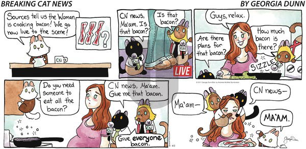 Breaking Cat News on Sunday April 2, 2017 Comic Strip