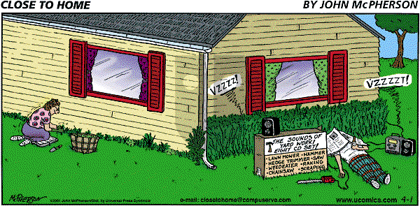 Close to Home on Sunday April 1, 2001 Comic Strip