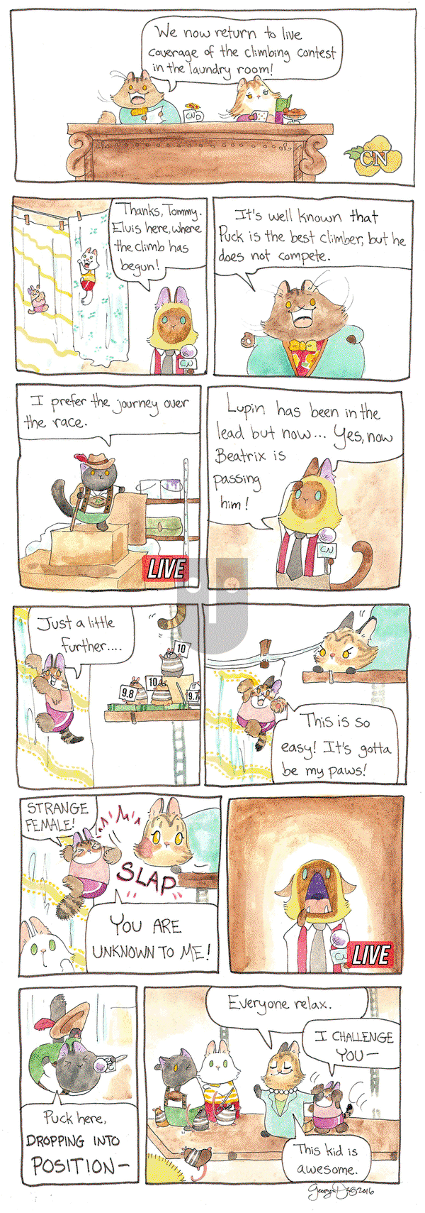 Breaking Cat News on Thursday May 12, 2016 Comic Strip