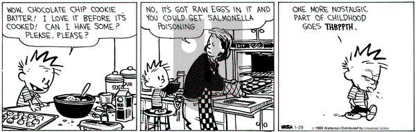 Calvin and Hobbes - Tuesday January 29, 2013 Comic Strip