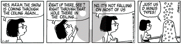Peanuts on Friday January 25, 1980 Comic Strip