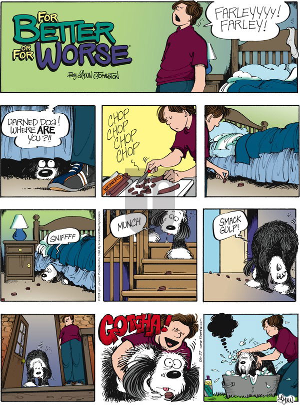 For Better or For Worse - Sunday June 27, 2021 Comic Strip