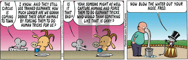 Pearls Before Swine on Wednesday June 25, 2014 Comic Strip